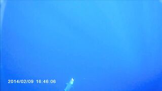 Famagusta Bay — охота на альбакора, как ищут косяки у Кипра