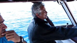 Famagusta Bay — ловля сетью и что говорит закон на Кипре?