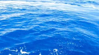 Famagusta Bay — ловля сетью и что говорит закон на Кипре?