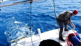 Famagusta Bay — ловля сетью и что говорит закон на Кипре?