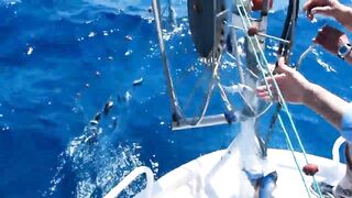 Famagusta Bay — ловля сетью и что говорит закон на Кипре?