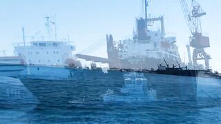 Famagusta Bay — ловля сетью и что говорит закон на Кипре?