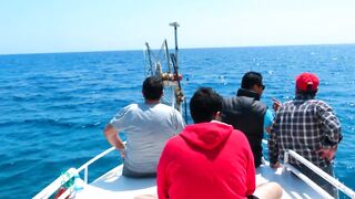 Famagusta Bay — ловля сетью и что говорит закон на Кипре?