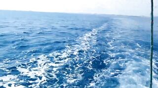 Famagusta Bay — ловля сетью и что говорит закон на Кипре?