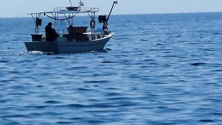 Famagusta Bay — ловля сетью и что говорит закон на Кипре?