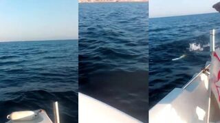 Famagusta Bay — рыбалка с пирса и лодок у Кипра