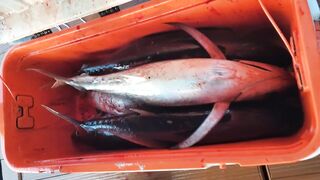 Famagusta Ghost Town — тунцовая рыбалка у берега-призрака