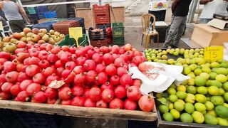 Kyrenia, Северный Кипр, рынок: цены на рыбу и снасти сегодня