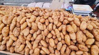 Kyrenia, Северный Кипр, рынок: цены на рыбу и снасти сегодня