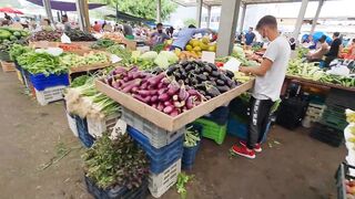 Kyrenia, Северный Кипр, рынок: цены на рыбу и снасти сегодня