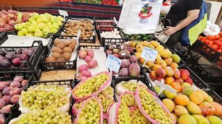 Kyrenia, Северный Кипр, рынок: цены на рыбу и снасти сегодня