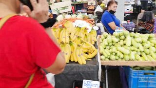 Kyrenia, Северный Кипр, рынок: цены на рыбу и снасти сегодня