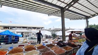 Kyrenia, Северный Кипр, рынок: цены на рыбу и снасти сегодня