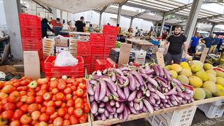 Kyrenia, Северный Кипр, рынок: цены на рыбу и снасти сегодня