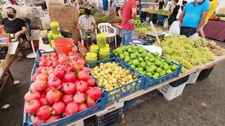 Kyrenia, Северный Кипр, рынок: цены на рыбу и снасти сегодня