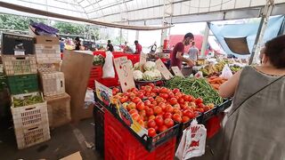 Kyrenia, Северный Кипр, рынок: цены на рыбу и снасти сегодня