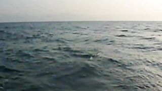 Girne, Kyrenia — рыбалка в Северном Кипре у крепости и марины