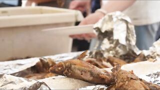 Cyprus — Latchi Fish Festival в Polis Chrysochou: ярмарка моря и снастей