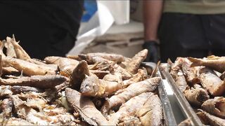 Cyprus — Latchi Fish Festival в Polis Chrysochou: ярмарка моря и снастей