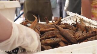 Cyprus — Latchi Fish Festival в Polis Chrysochou: ярмарка моря и снастей