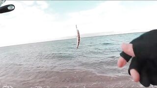 Иордания — рыбалка в Акабском заливе: что берет у волнореза?