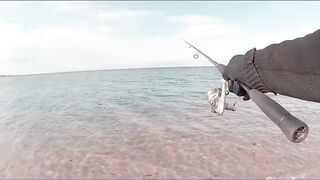 Иордания — рыбалка в Акабском заливе: что берет у волнореза?