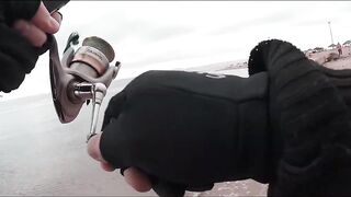 Иордания — рыбалка в Акабском заливе: что берет у волнореза?