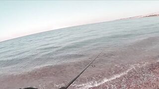 Иордания — рыбалка в Акабском заливе: что берет у волнореза?