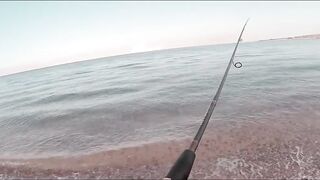 Иордания — рыбалка в Акабском заливе: что берет у волнореза?