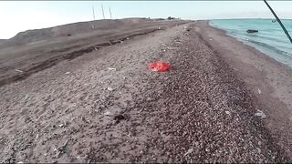 Иордания — рыбалка в Акабском заливе: что берет у волнореза?