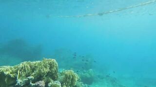 Акабский залив — подводный мир Иордании и береговые споты