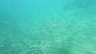 Акабский залив — подводный мир Иордании и береговые споты