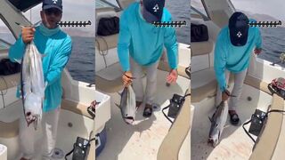 Aqaba bluefin tuna, Jordan: легенда Красного моря и надежда на трофей