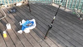 Доха — порт, рыбный рынок и рыбаки: где лучше ловить с берега?