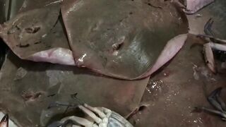 Доха — порт, рыбный рынок и рыбаки: где лучше ловить с берега?