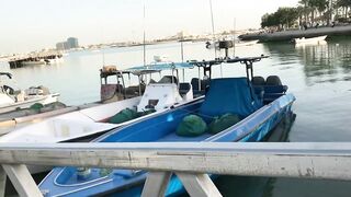 Доха — порт, рыбный рынок и рыбаки: где лучше ловить с берега?