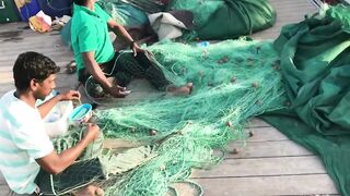 Доха — порт, рыбный рынок и рыбаки: где лучше ловить с берега?