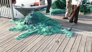 Доха — порт, рыбный рынок и рыбаки: где лучше ловить с берега?