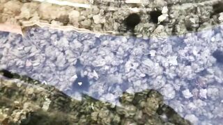 Доха — порт, рыбный рынок и рыбаки: где лучше ловить с берега?