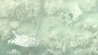 Доха — порт, рыбный рынок и рыбаки: где лучше ловить с берега?