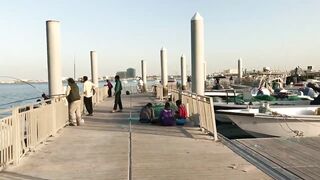 Доха — порт, рыбный рынок и рыбаки: где лучше ловить с берега?