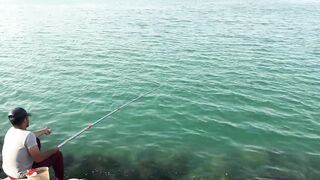 Doha, Qatar — морская рыбалка у набережной и в марине