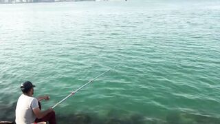 Doha, Qatar — морская рыбалка у набережной и в марине