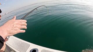 Рыбалка в Дохе Катар морская рыбалка в заливе и трофей оборвал снасть