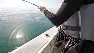 Рыбалка в Дохе Катар морская рыбалка в заливе и трофей оборвал снасть
