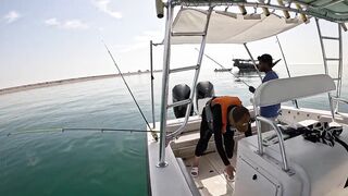 Рыбалка в Дохе Катар морская рыбалка в заливе и трофей оборвал снасть