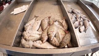 Рыбалка в Дохе Катар морская рыбалка в заливе и трофей оборвал снасть