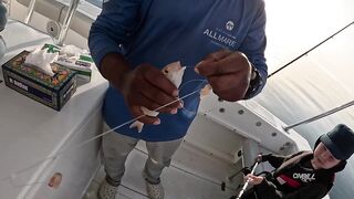 Рыбалка в Дохе Катар морская рыбалка в заливе и трофей оборвал снасть