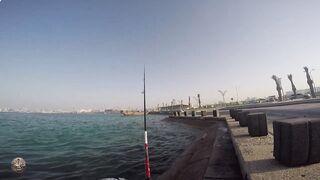 Doha Corniche — shore jigging: рыбалка в День отца удалась?