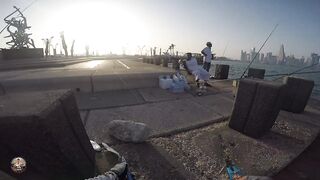 Doha Corniche — shore jigging: рыбалка в День отца удалась?